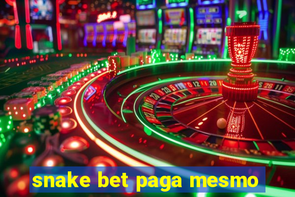 snake bet paga mesmo